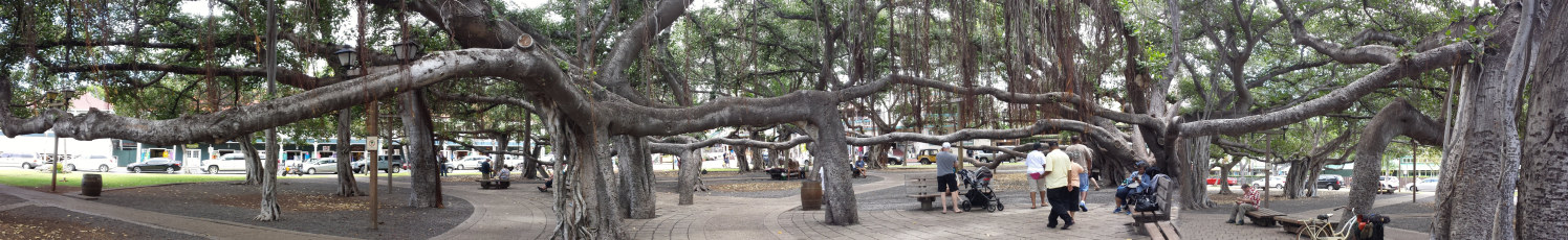 20150420_114525a.jpg